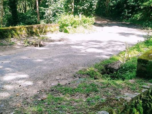 चंडगोडु-गुड्डदूर संपर्क पुल के ढहने का खतरा