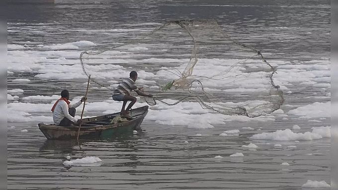 तटीय मछली प्रेमियों को मूल्य वृद्धि का झटका!