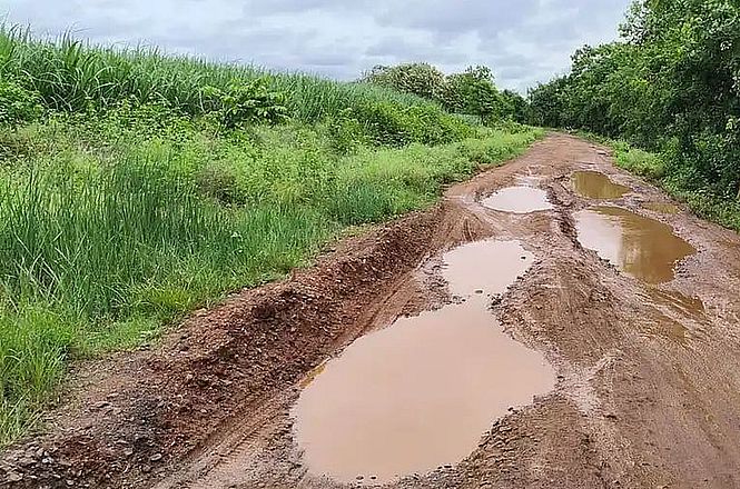 गड्ढों से भरी सड़क, लोगों को यात्रा करने में हो रही परेशानी
