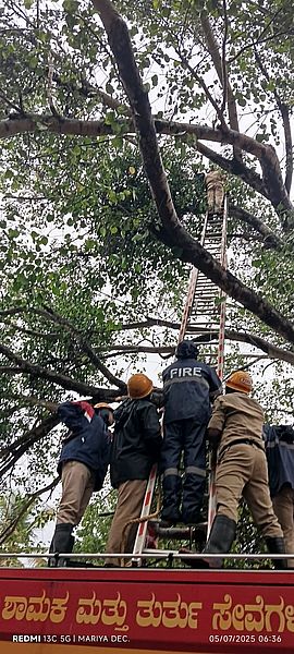 पुलिस थाने के पास पेड़ पर बैठा व्यक्ति