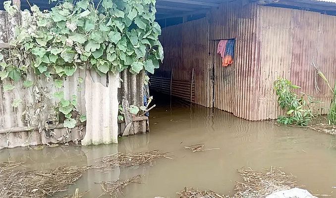 तीन दिन से पशुओं को नहीं मिला चारा