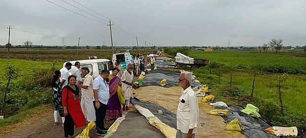 बारिश से मूंग-उड़द की फसल चौपट, किसानों को लाखों की हानि
