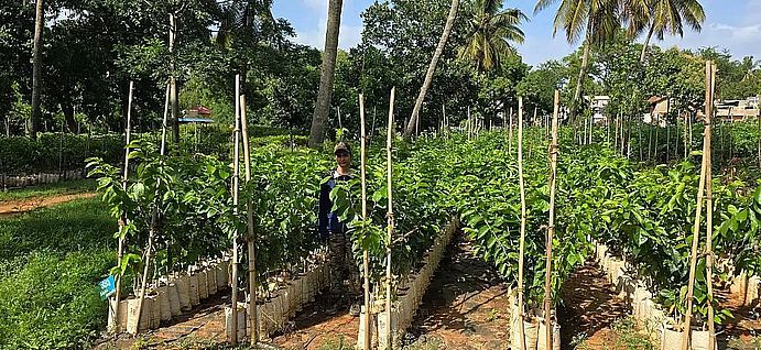 धारवाड़ जिले में हरित अभियान : 80 हजार पौधे लगाए गए