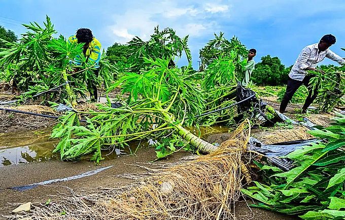 अत्यधिक मानसून बारिश से फसल और मकानों को भारी नुकसान
