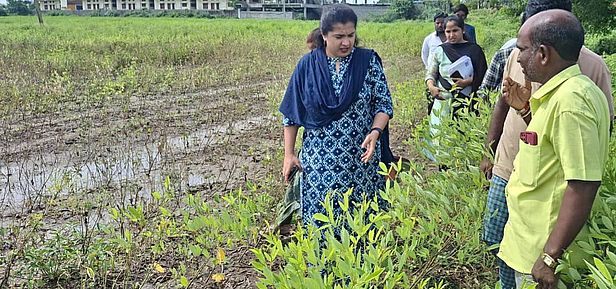 जिलाधिकारी ने बारिश से प्रभावित फसल क्षेत्रों का किया दौरा