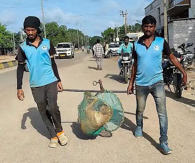 आवारा कुत्तों पर नियंत्रण के लिए नसबंदी अभियान शुरू