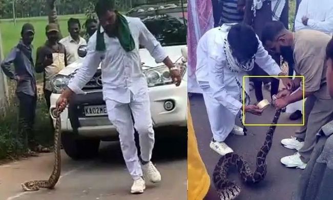 शिवमोग्गा में सांपों के साथ अमानवीय बर्ताव