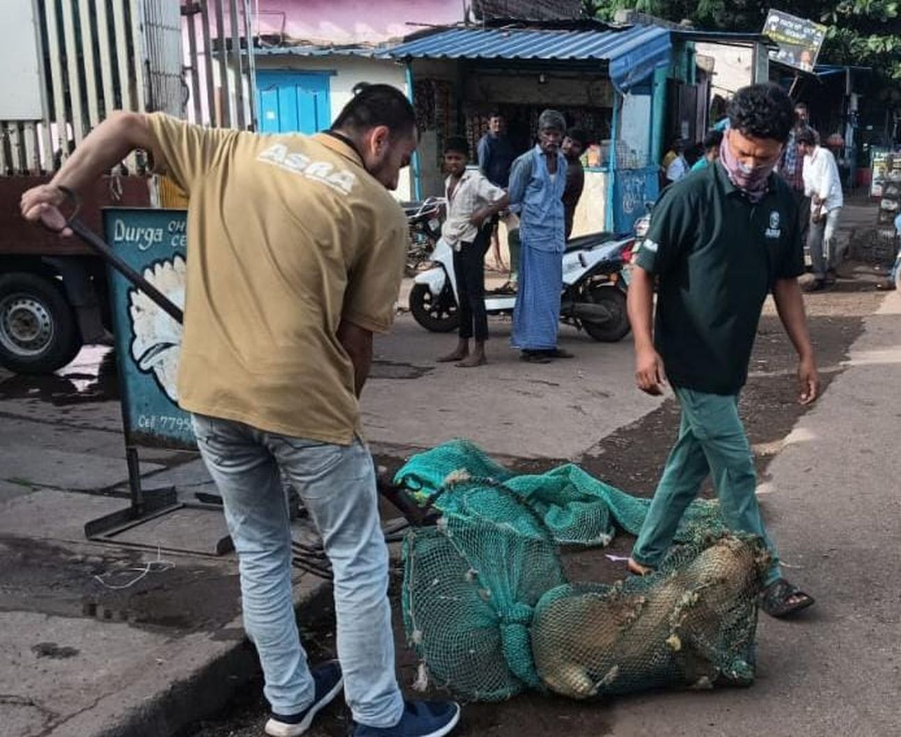 बल्लारी में आवारा कुत्तों की नसबंदी अभियान शुरू