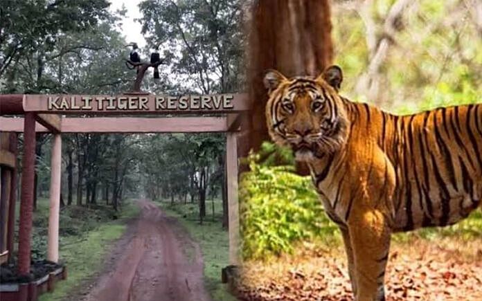 दांडेली बाघ संरक्षित क्षेत्र में धन का दुरुपयोग, जांच के आदेश