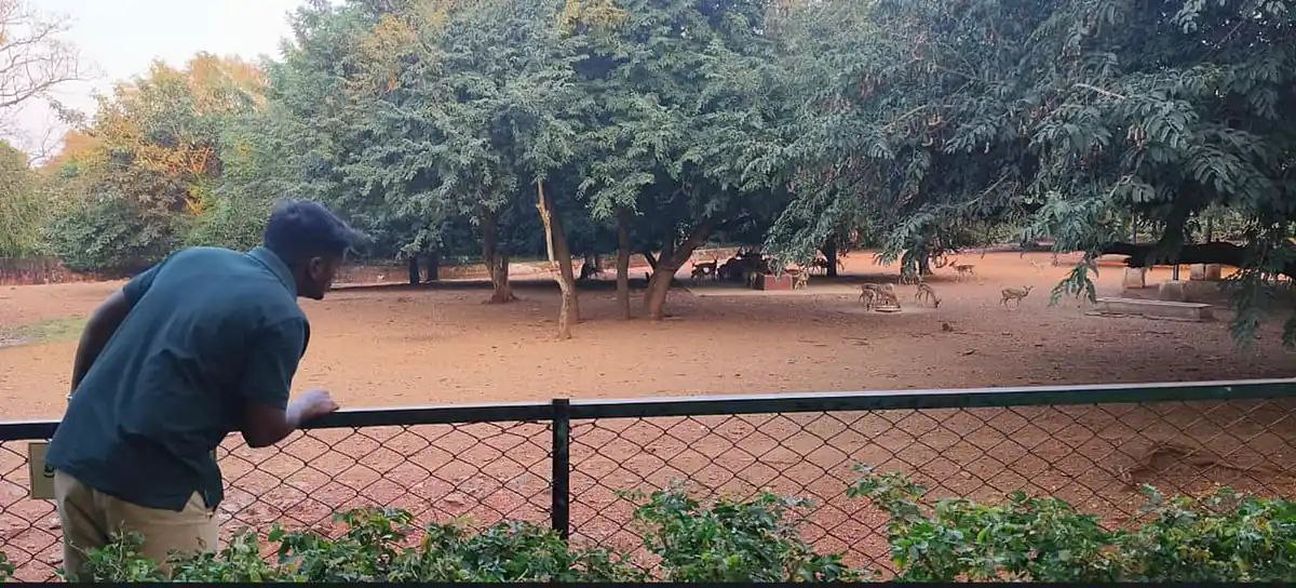 बिंंकदकट्टी मृगालय में प्राणियों की रक्षा को पंचसूत्र