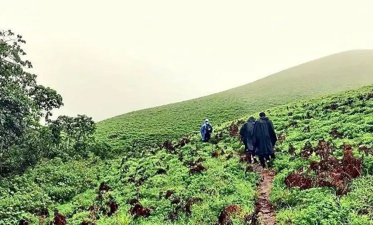 फायर सीजन में ट्रैकिंग पर रोक, सुरक्षा को प्राथमिकता