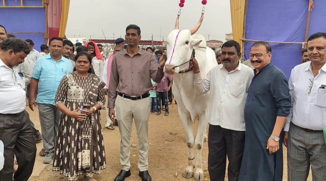 मवेशी मेला : तोरवी में जिलाधिकारी डॉ. आनंद के. का निरीक्षण