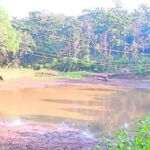 सिरसी में जल संकट की आहट, प्रशासन अलर्ट