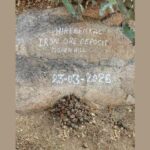 हिरेबेनकल में लौह युग के अवशेष मिले