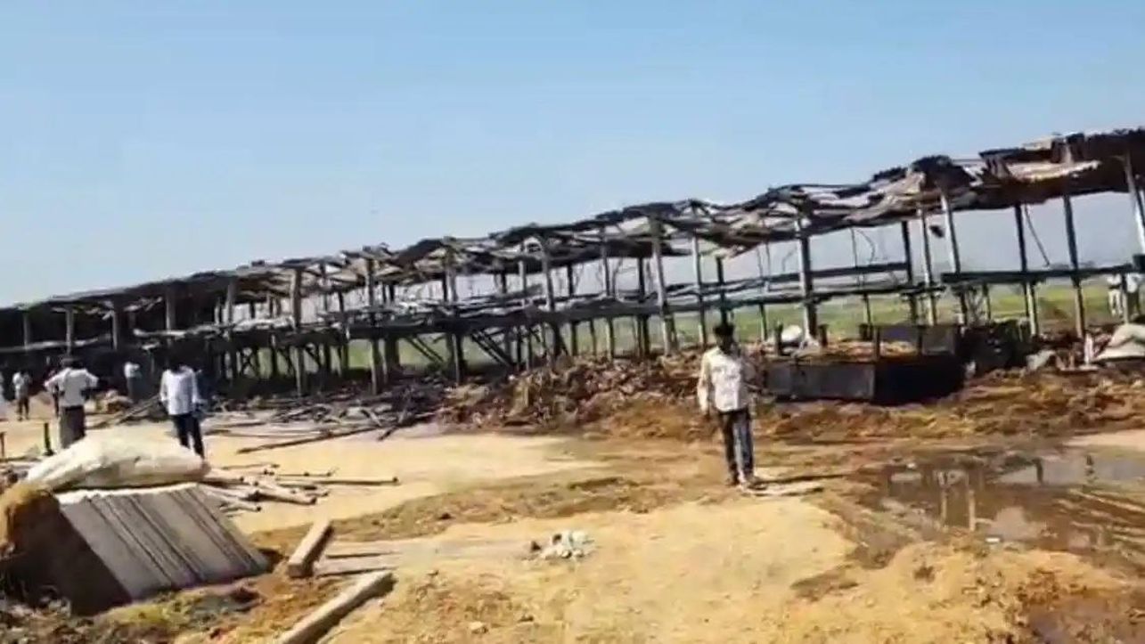 आग से राख हुआ भेड़ शेड, 700 भेड़ों की जलकर मौत