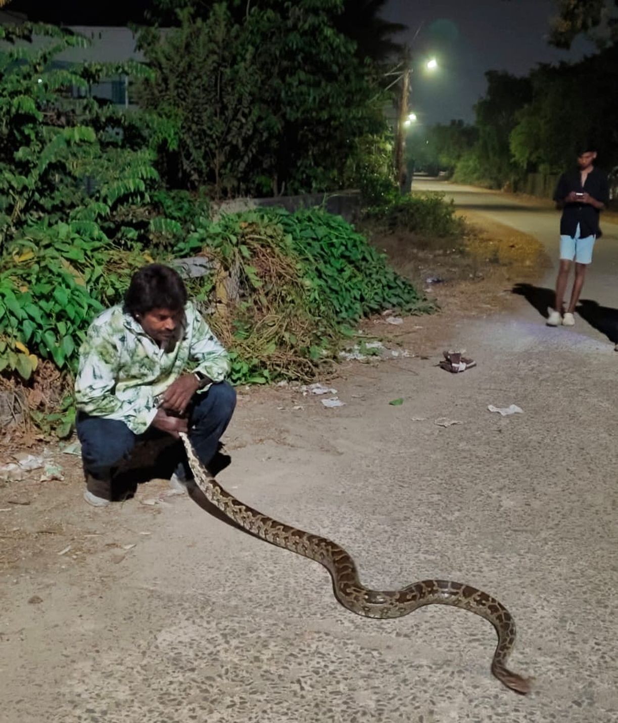 शिवमोग्गा में सडक़ किनारे मिला 8 फीट लंबा अजगर