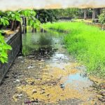 उडुपी में नदियां प्रदूषण से बेहाल