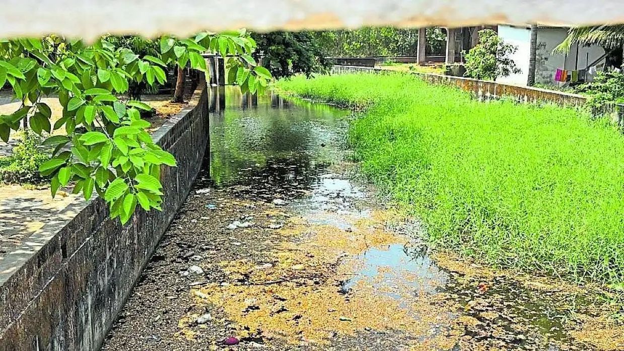 उडुपी में नदियां प्रदूषण से बेहाल