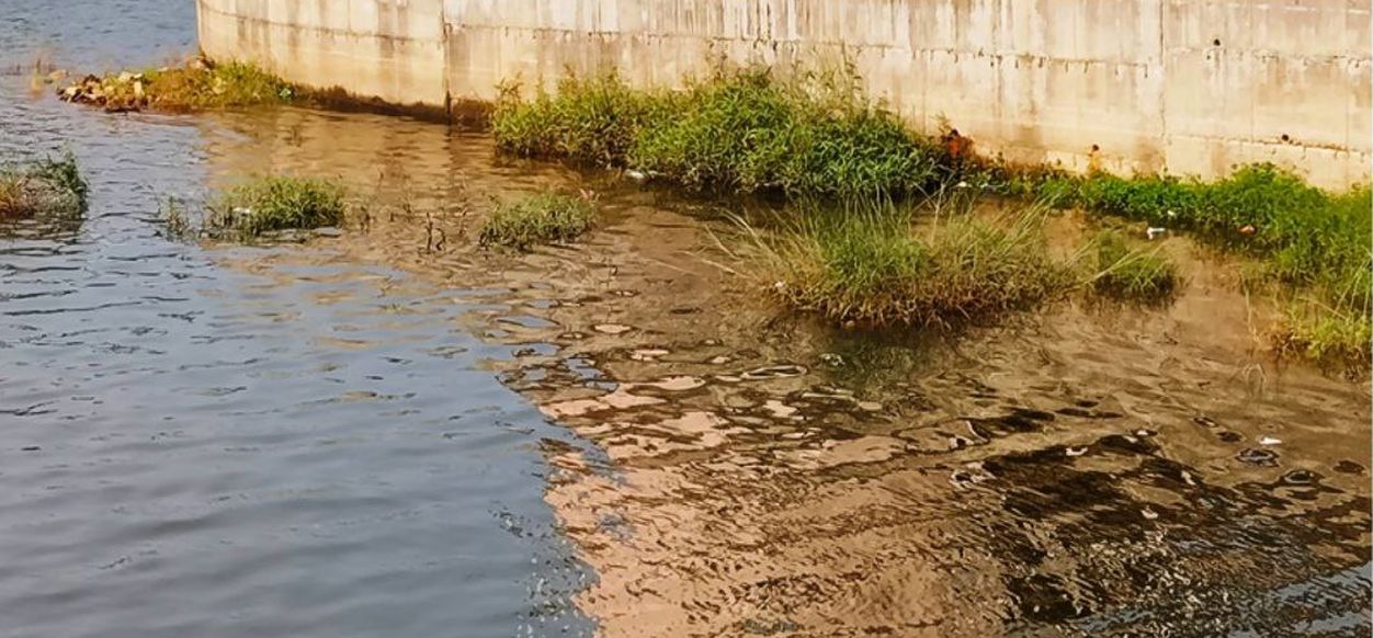 नेत्रावती नदी प्रदूषित, प्रशासन की चुप्पी पर सवाल