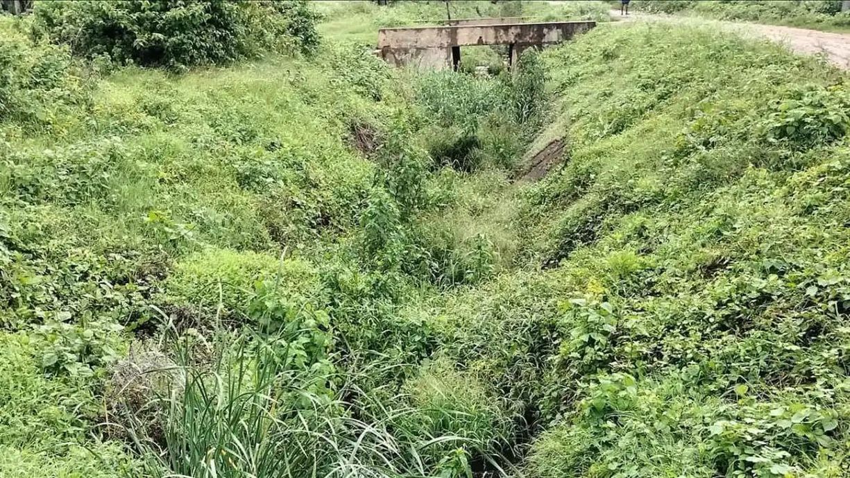 भद्रा नहर के अंतिम छोर तक नहीं पहुंचता पानी