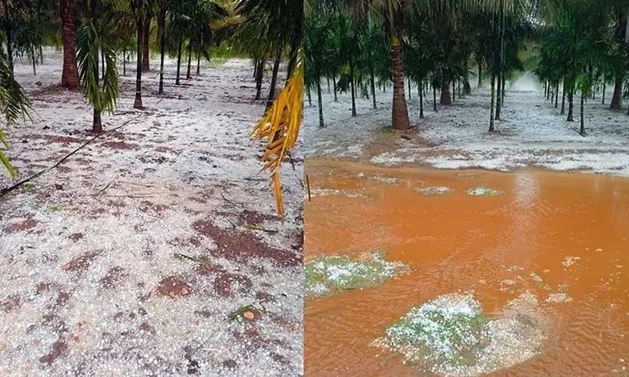 बेमौसम बारिश से बेलगावी में भारी तबाही