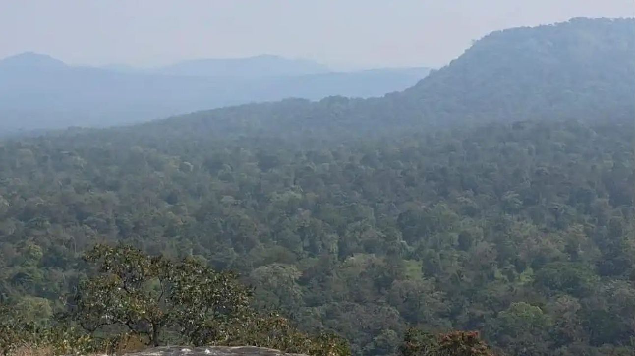 चन्नगिरी के वन क्षेत्र को दावणगेरे वन प्रभाग में शामिल करने की प्रक्रिया शुरू