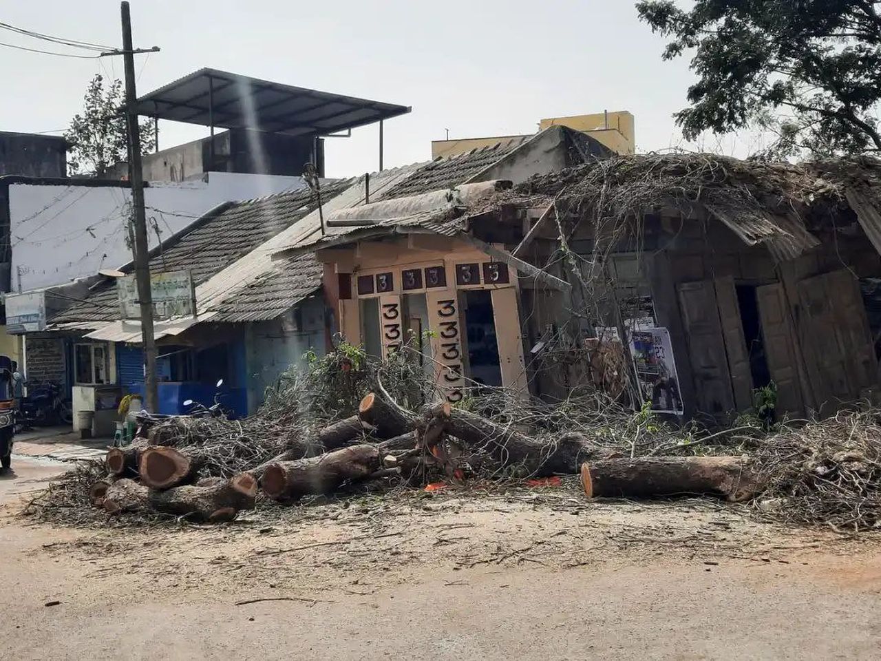 हावेरी में सार्वजनिक स्थलों पर पेड़ों की अंधाधुंध कटाई