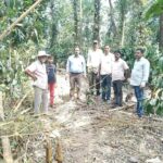 जंगली हाथी का आतंक, कॉफी बागान उजड़े