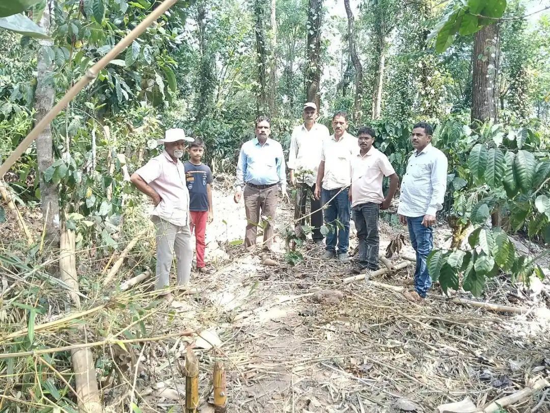 जंगली हाथी का आतंक, कॉफी बागान उजड़े