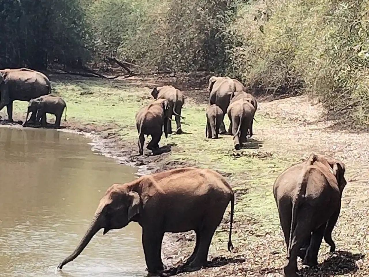 रेलवे बैरिकेड निर्माण को 12.77 करोड़ की मंजूरी