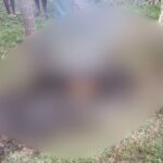 सुपारी बागान में प्रोफेसर का जला हुआ शव मिला