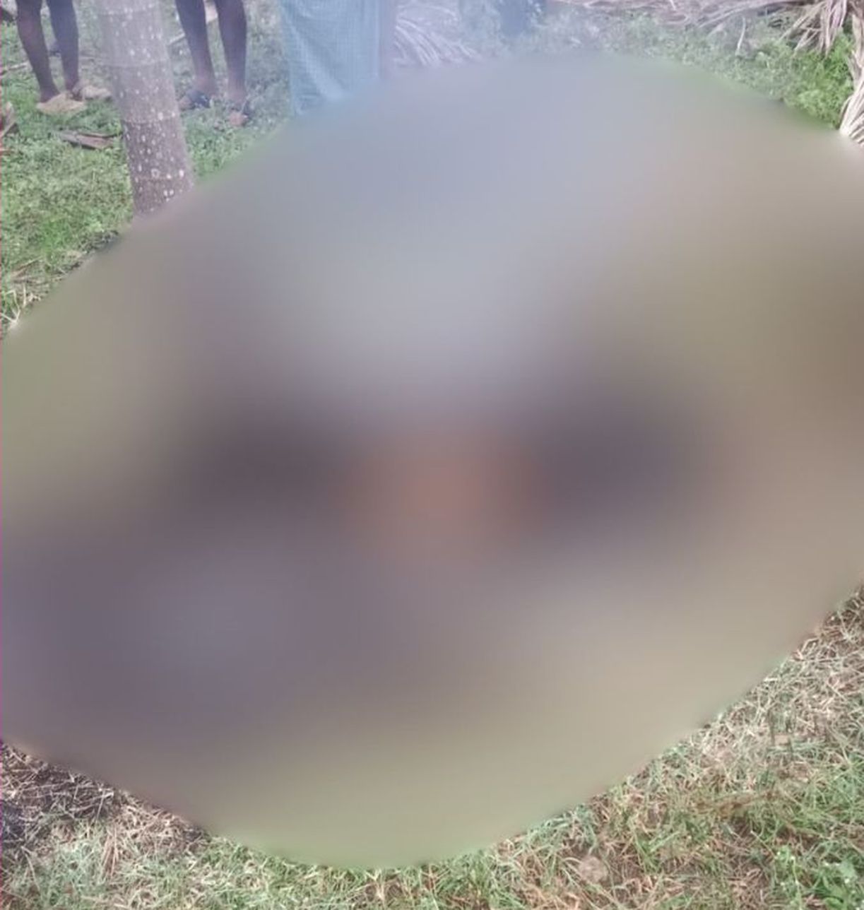 सुपारी बागान में प्रोफेसर का जला हुआ शव मिला