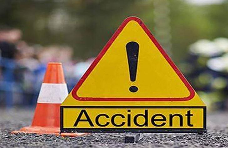 सड़क पर कुत्ता आने से पलटा तिपहिया वाहन, चालक की मौत