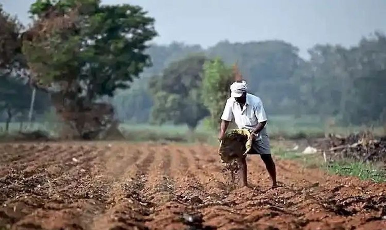 अब ‘फ्रूट्स आईडी’ जरूरी, तभी मिलेगा खाद और सरकारी सहायता