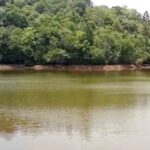 एक तालाब ने बचाई हरियाली, कणावा में पानी से समृद्ध जीवन