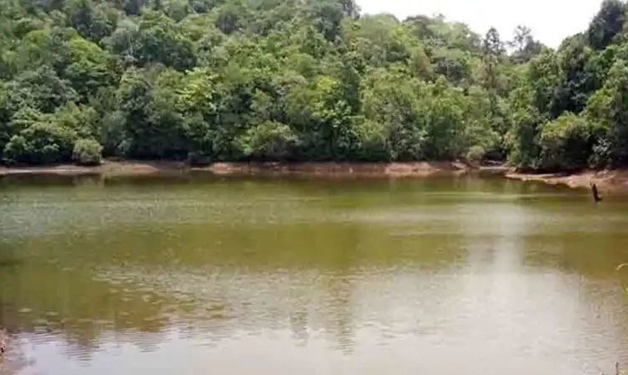 एक तालाब ने बचाई हरियाली, कणावा में पानी से समृद्ध जीवन