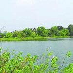 शिकारीपुर में मछली फसल टेंडर पर विवाद