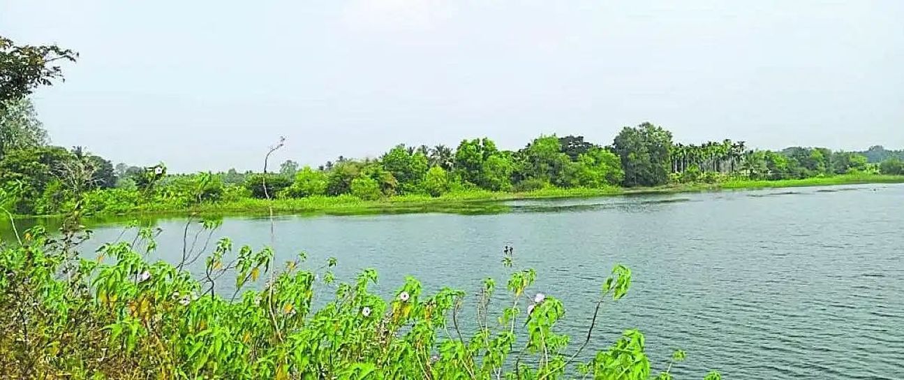 शिकारीपुर में मछली फसल टेंडर पर विवाद