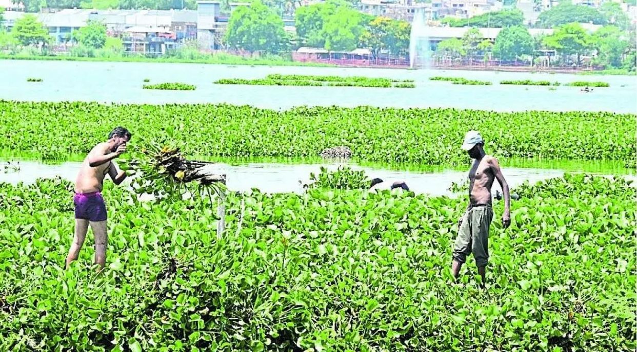 हुब्बल्ली-धारवाड़ के तालाब बदहाल
