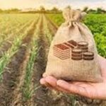 कर्नाटक में किसानों पर गहराया कर्ज का संकट