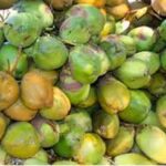 बढ़ती गर्मी से ठंडे पेयों की मांग बढ़ी