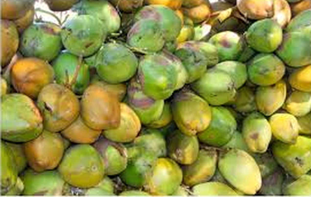 बढ़ती गर्मी से ठंडे पेयों की मांग बढ़ी