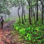 ‘अरण्य विहार’ पोर्टल पर सवाल