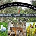 बन्नेरघट्टा जैविक उद्यान को मिलेगा डिजिटल स्वरूप