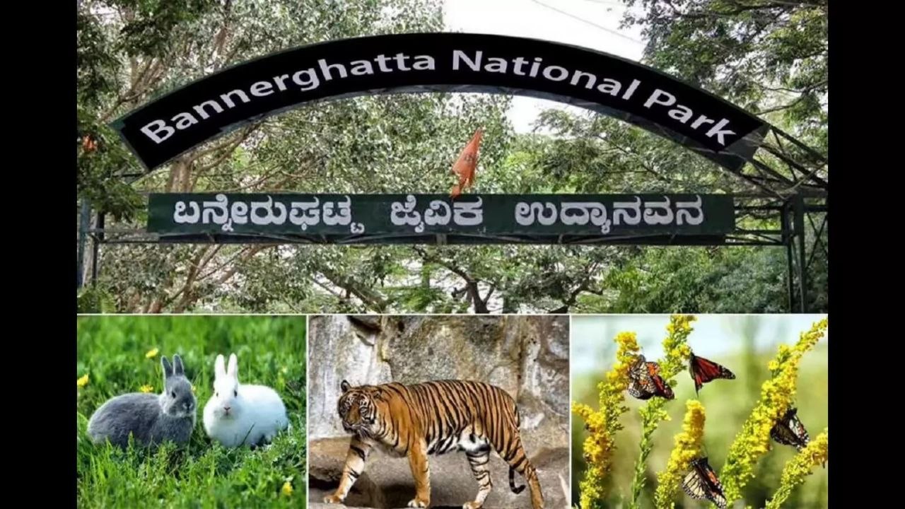 बन्नेरघट्टा जैविक उद्यान को मिलेगा डिजिटल स्वरूप