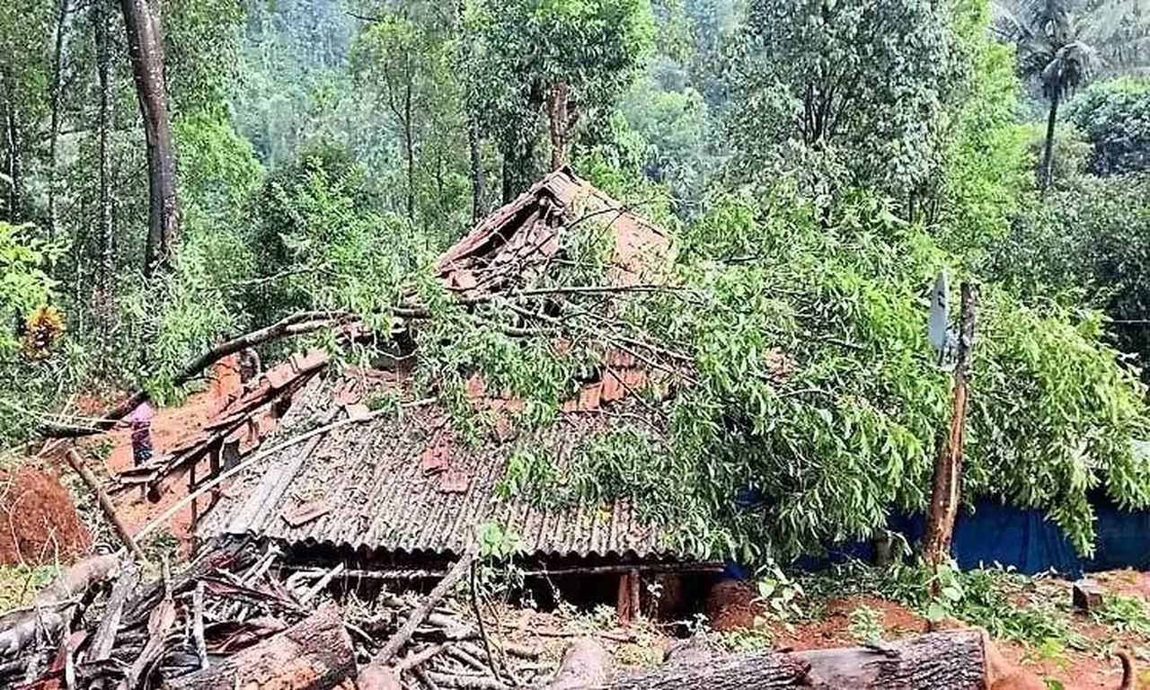 भारी बारिश का कहर, पेड़ गिरने से मकान क्षतिग्रस्त