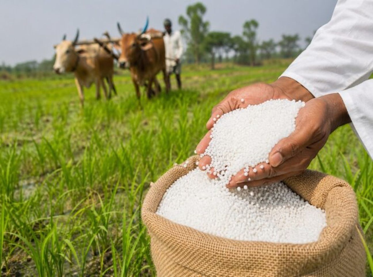 अब खाद खरीदने के लिए एफआईडी नंबर अनिवार्य