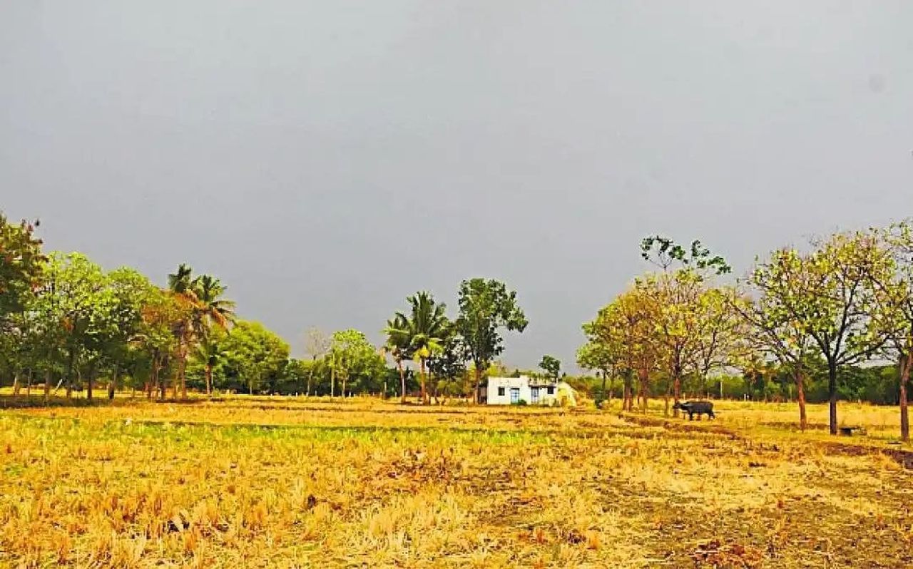 मानसून बुवाई की तैयारी में जुटे किसान