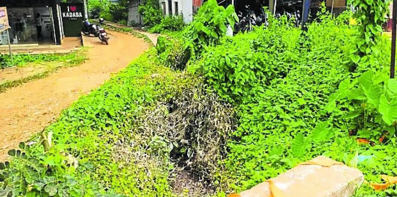 कडबा में जाम नालियों से बढ़ा बाढ़ का खतरा