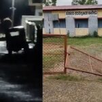 आलदूर कस्बे में दो जंगली हाथियों की दस्तक